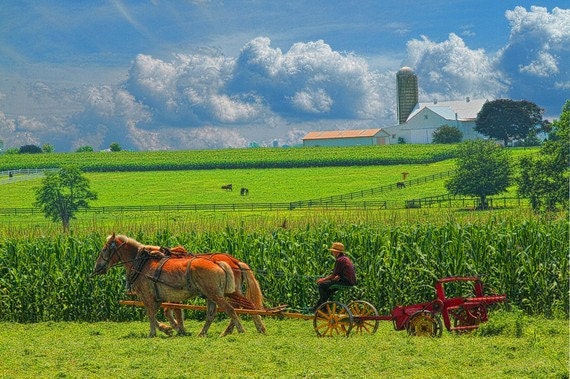 Items Similar To Farm Photograph Amish Farmer Rustic Photography