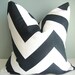 SET OF TWO-16x16 Designer Pillow In Zippy Charcoal Black /White Contemporary Print Front and Back