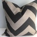 SET Of TWO -20x20 Designer Pillow In Zippy Stone Black Contemporary Print