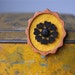 Black Vintage Lace Wheel of Hearts on Yellow Mustard Felt Wooden Brooch, Lace and Mahogany Series