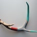 Aqua, Gray and Red Antler