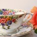 Royal Paragon China Tea Cup and Saucer, F1792