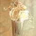 Wedding Champagne Holder, Wine Holder, Pre-wrapped Elegantly, Re-useable