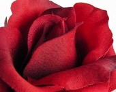 Red Rose Hair Clip