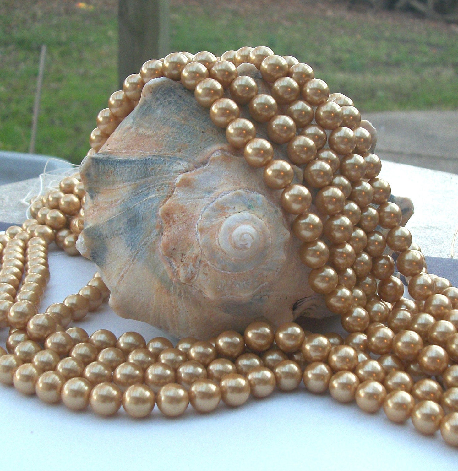 Gold South Sea Shell Pearl 8 mm round full strand