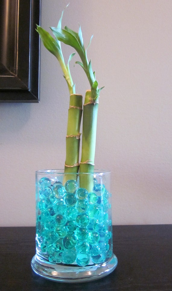 Lucky Bamboo With Water Beads and Vase. Great for by TMLcreates