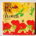 CLEARANCE 1980s Kids Science Book: The Reason for a Flower Beautiful Illustrations