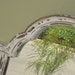 Vintage 1930's Shabby Rustic Mirror Upped in Chippy Ivory
