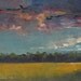 Gun Shy - Original Oil Painting