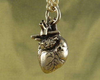 Anatomical Heart Necklace - Bronze Anatomical Heart Pendant on 24" Gold Plated Chain