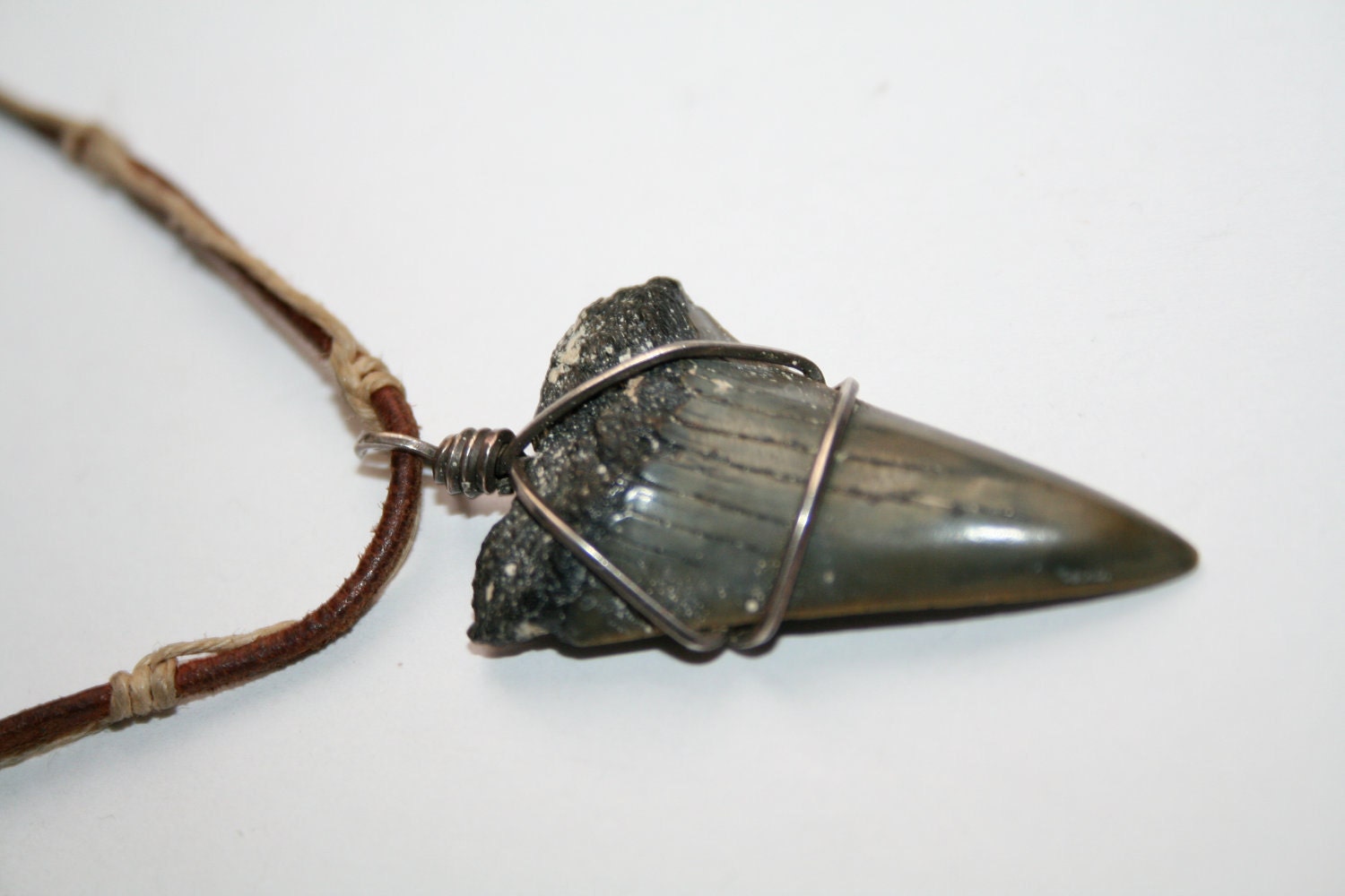 Fossil Great White Shark Tooth Necklace