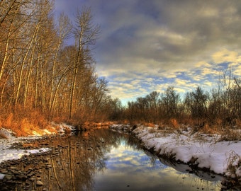 Winter Aspens by Daveidaho on Etsy