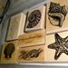 Stampin' Up Beautiful Beach - 6 stamps wood mount - SALE USED