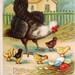 Vintage Easter Hen Baby Chicks and Eggs Victorian Embossed Postcard