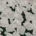 200 Silk Rose Petals WHITE Wedding Flower Decorations Party Decorations Bridal