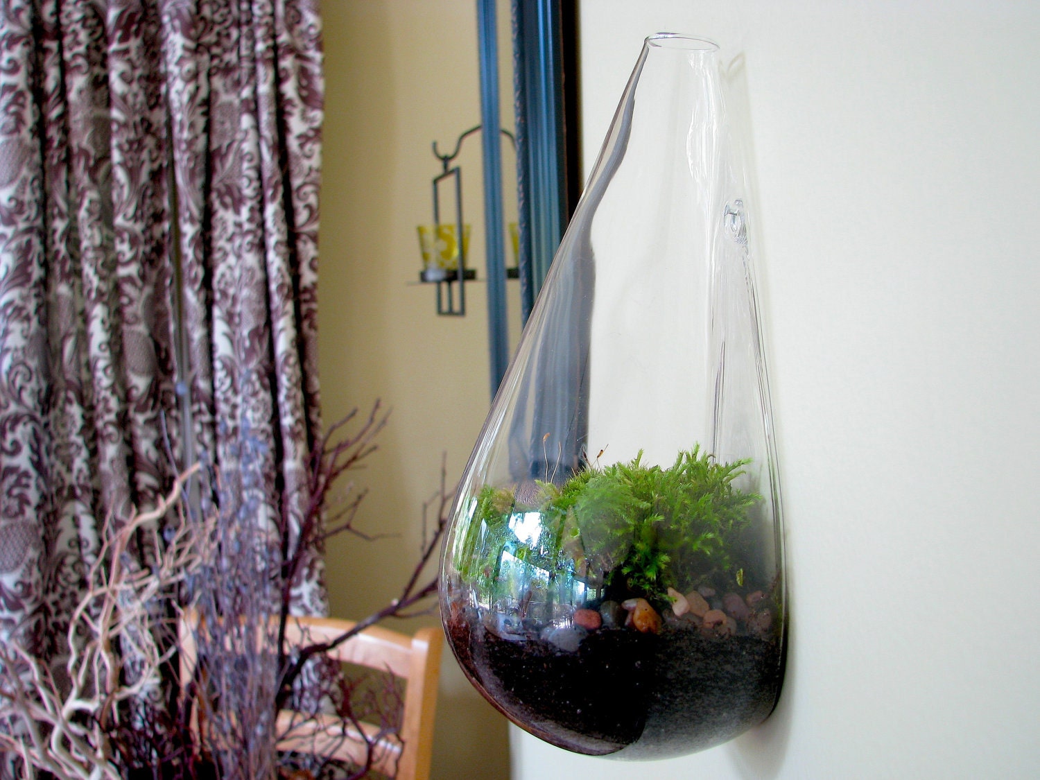 Wall Terrarium: Modern Wall Mounted Teardrop Moss Terrarium