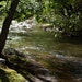 Greens of Summer - Boulder Creek Fine Art Photography Print