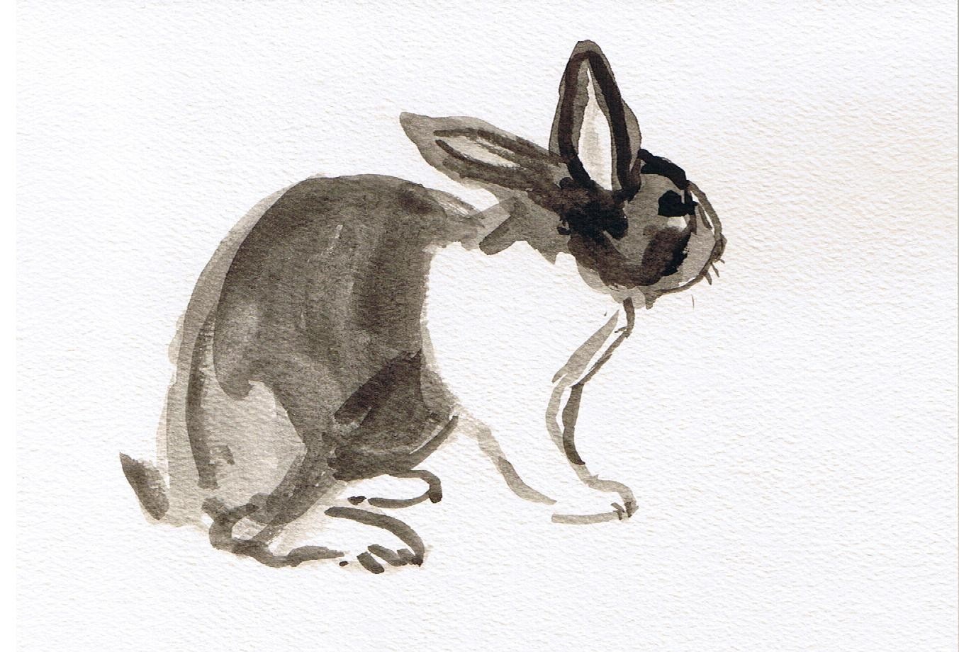 Dutch Rabbit Signed Original Ink Drawing 5 X 7