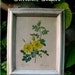 SALE Shabby Botanical Print Pair Romantic Roses