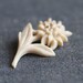 Little Wild White Flower - Eidleweiss Brooch