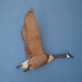 Hand carved Wall mount Canada Goose Decoy Woodcarving
