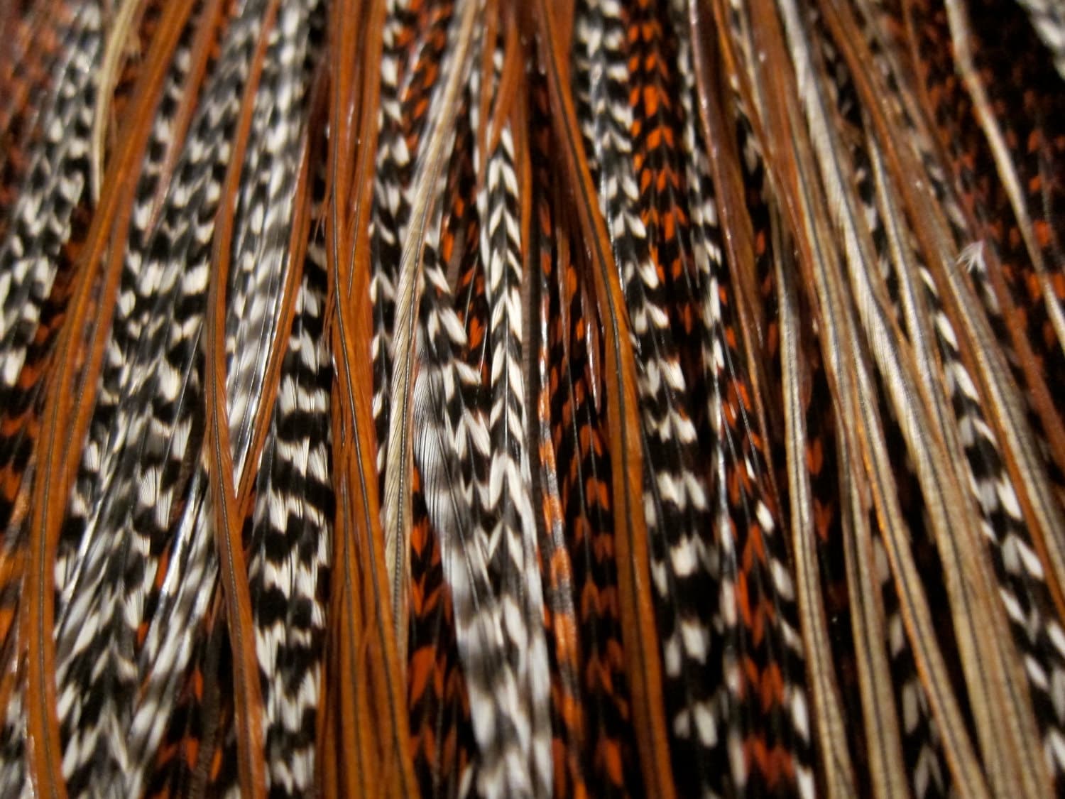 3 LOOSE Feathers DIY Roadrunner Mix Feather Hair