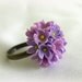Lilac ring.