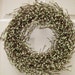 Berry Wreath - Door Wreath - Green Wreath - Spring Wreath