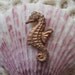 Teeny Tiny Seahorse (4 pc)