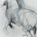 Equine nude V / Nu équin V