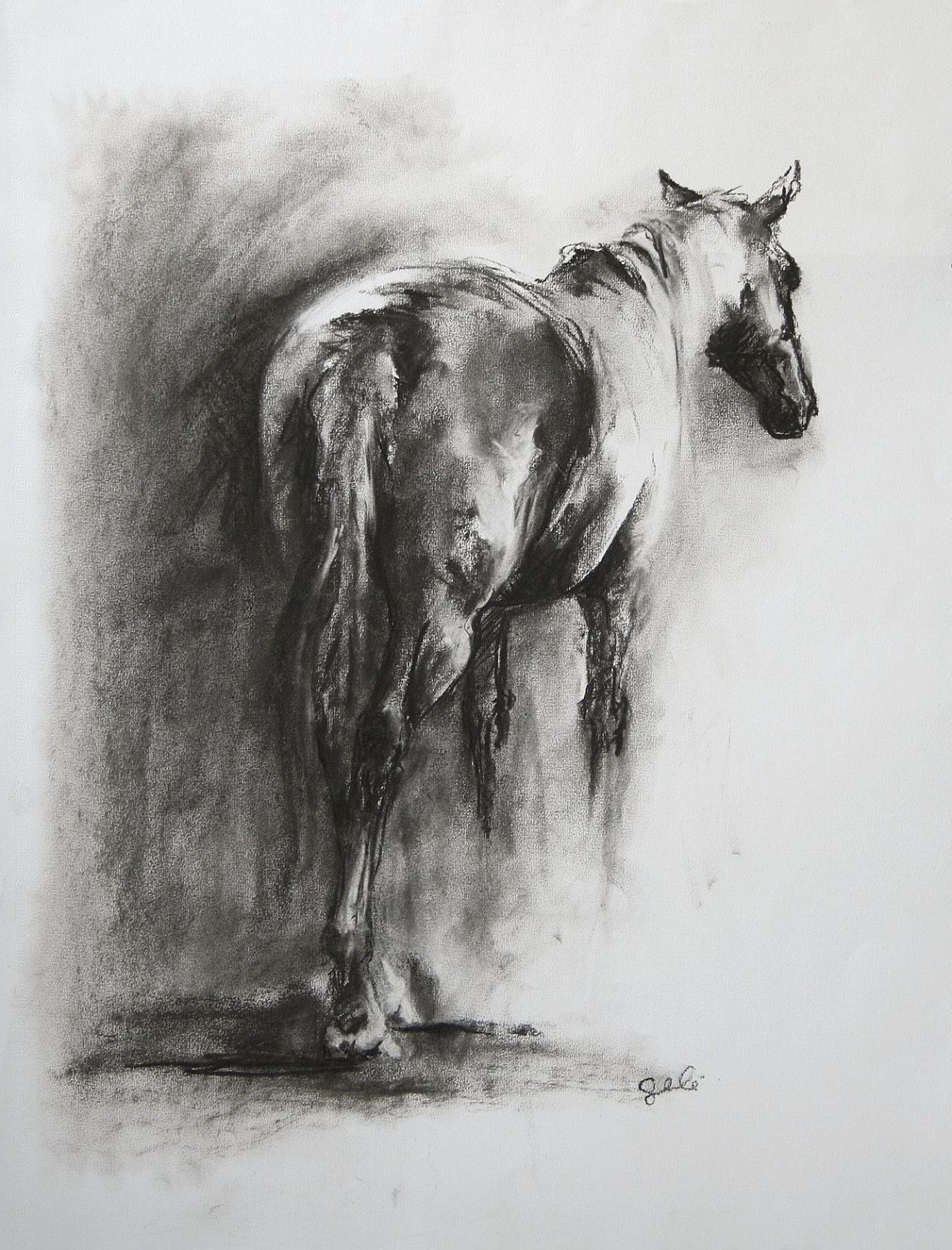 Original Black and white drawing Horse 2