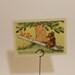Vintage "Bear and squirrels" Postcard - 1954