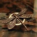 Steampunk Dragonfly Barrette in Antique Copper