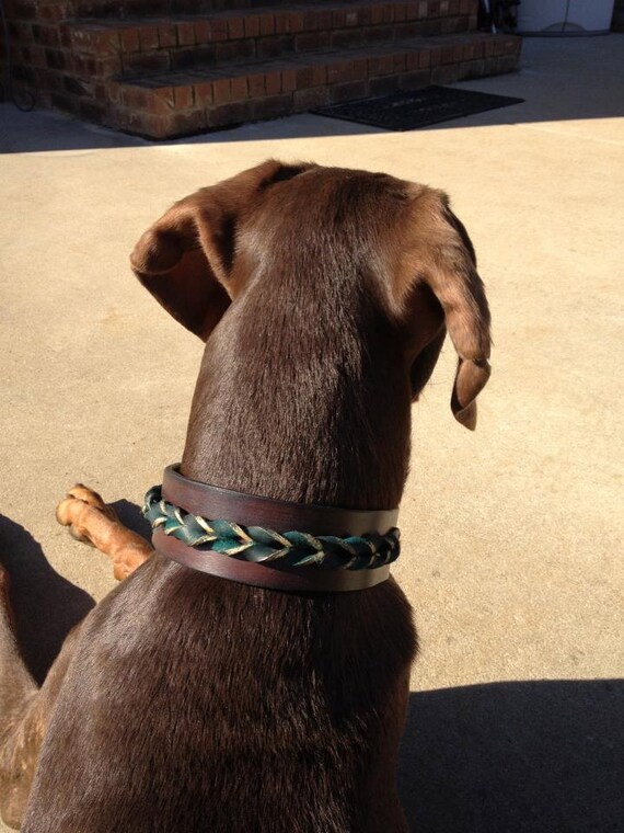 Items similar to Custom Leather Dog Collar "Twisted" by Pleasant Pup