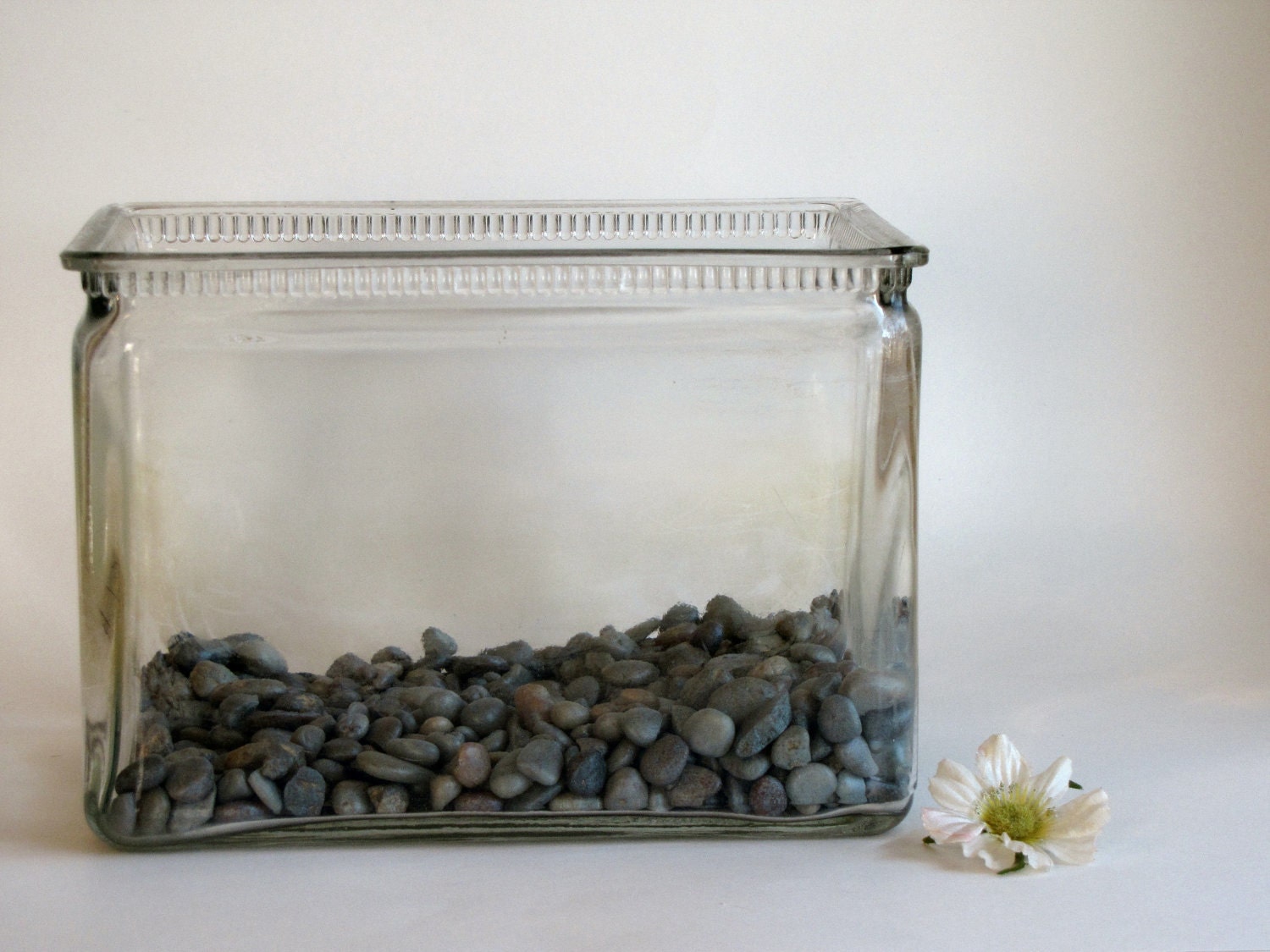 Vintage Glass Auto Battery Box / Repurposed Fish Bowl