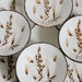 Midwinter Stonehenge Wild Oats 8 Coup Cereal Soup Bowls
