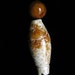 Ancient Jade Fish Lo Bead Pendant with Antique Jade Beads by NeoWare