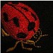 JunebugMemories