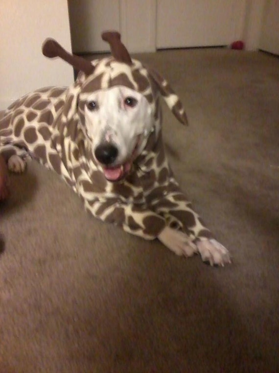 Items similar to Large Breed Dog Fleece Giraffe Costume on Etsy