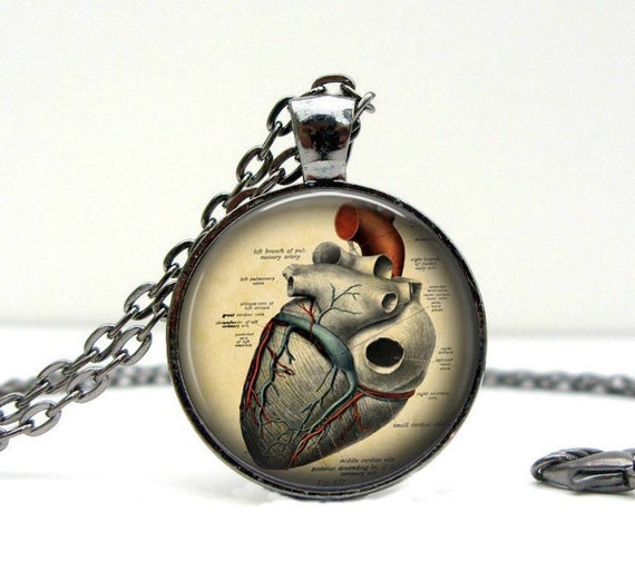 Anatomical Heart Necklace : Anatomy Jewelry. Anatomy Heart.