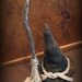 Primitive Witch and Broom Halloween Decor