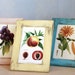Set of three hand-painted and distressed wooden frames size 5x7
