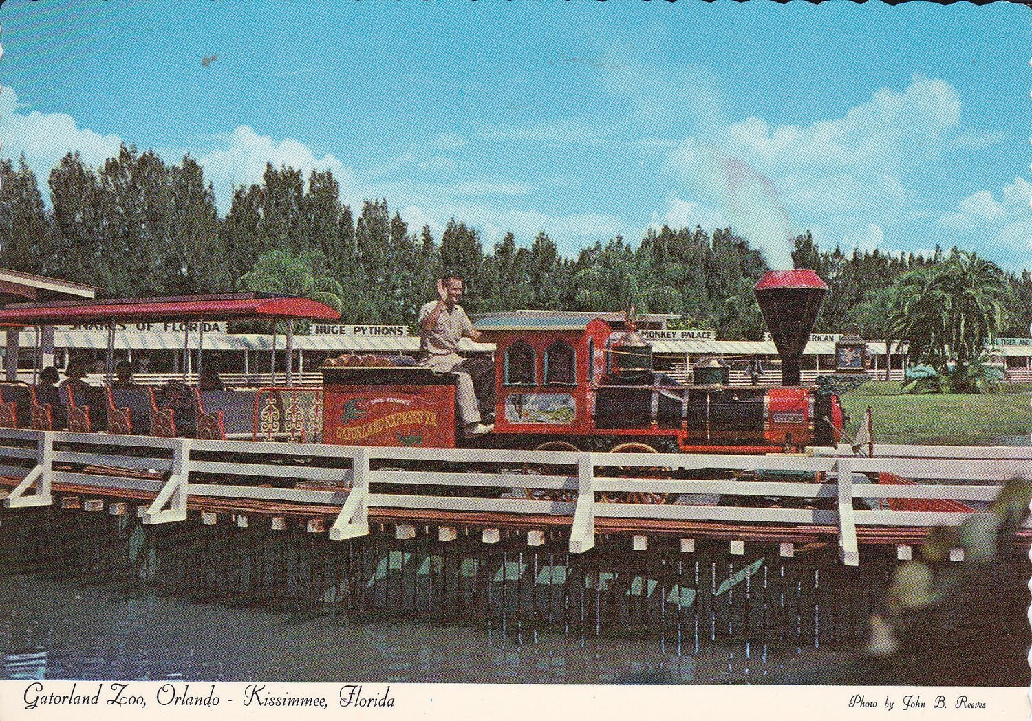 Gatorland Zoo Orlando-Kissimmee Florida Vintage Postcard