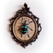 Framed Exotic Beetle Specimen, Eupholus magnificus