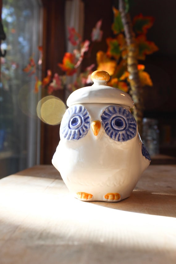 Owl Ceramic Mug - WGU Online Store