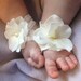Baby Sandals, Baby Shoes, Barefoot Blossom (TM) Off-White Hydrangea