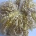 Hand dyed Teeswater curly wool locks for spinning ,Custom Blythe doll hair -'Goldilocks with low lights' 2