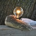 Limited - Fragment Driftwood Light - Driftwood Light
