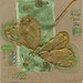 Bronze dragonfly - blank greeting card for any event