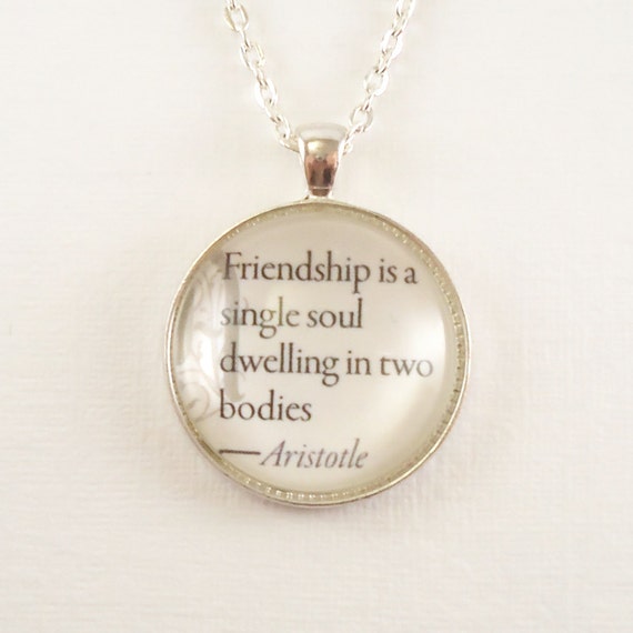 Friendship is a single soul dwelling in two bodies meaning in urdu image